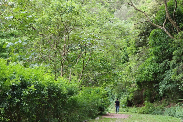 Zishalishali Trail