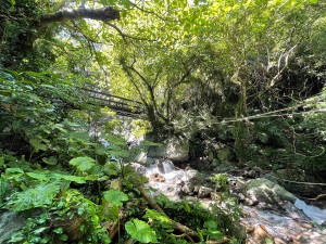 情人谷瀑布往第二層木搭橋