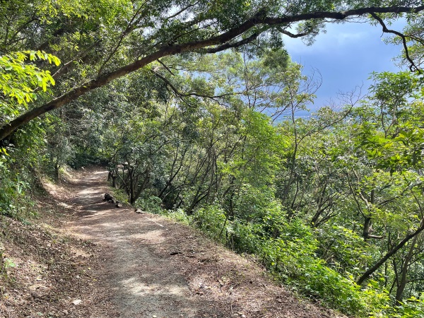 Saijia Community Trail