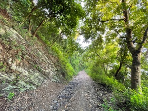 Weiliao Mountain Trail -4